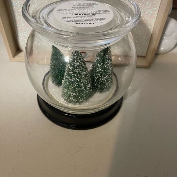 Polar Bear - Picture 3 of 3